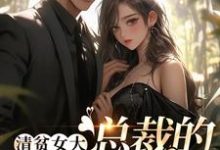 宋晚意沈煜洵为主角的小说叫什么？免费看清贫女大，总裁的心头宝-美文小说