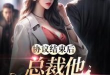 协议结束后,总裁他不让我走了白茹李昭,协议结束后,总裁他不让我走了最新章节-美文小说