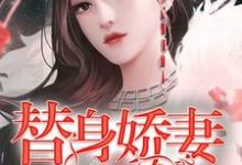 已完结小说《替身娇妻不好惹》最新章节-美文小说