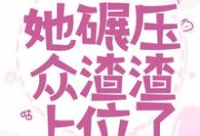 哪里能找到携四宝嫁邪王，她碾压众渣渣上位了小说的全部章节？-美文小说