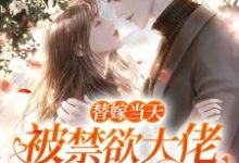 替嫁当天,被禁欲大佬宠到失控 陈苒凌斯年小说免费阅读-美文小说