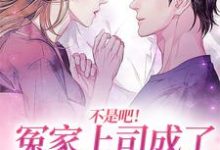 《不是吧!冤家上司成了我孩子的爸》小说章节列表免费试读,翁惜雾谈信赫小说在线阅读-美文小说