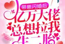 带崽闪婚后,亿万大佬总想拉我生二胎小说完结了吗?在哪里可以免费读到?-美文小说