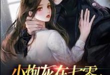 小炮灰在七零,燎的军官宠上天小说,小炮灰在七零,燎的军官宠上天苏茉陆长征-美文小说