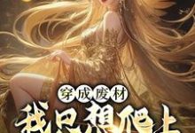 小说《穿成废材,我只想爬上女帝龙床》在线章节阅读-美文小说