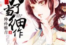 李轻歌沈渊叶青青为主角的小说叫什么?免费看穿越不是为了当细作-美文小说