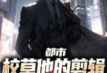 江晨为主角的小说好看吗?免费读都市:校草他的剪辑手法出神入化-美文小说