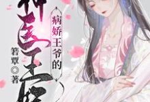 病娇王爷的神医宠妃小说的免费阅读版本在哪里可以找到？-美文小说