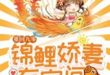 贺卓然赵煦为主角的小说叫什么?免费看重回九零:锦鲤娇妻有空间-美文小说