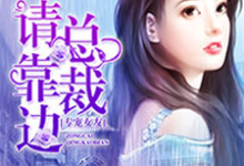 专宠女友,总裁请靠边小说有没有完结版在线?-美文小说