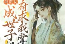 顾北初萧宴之小说《商贾女成世子妃,侯府求我掌家》在线阅读-美文小说