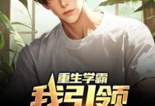 在线寻找重生学霸:我引领强国狂潮小说的无删减版本-美文小说