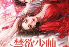 主角沈聿青宋徽宜小说禁欲少帅,他情陷美人怀免费阅读-美文小说