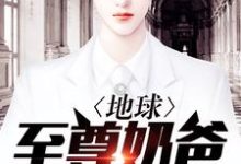 完整版的地球至尊奶爸小说在哪里可以免费读到?-美文小说