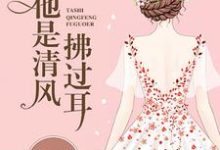 他是清风拂过耳主角凌惜陆景霆薄懿小说完结版章节在线阅读-美文小说