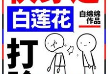 主人公叫孟西梅孟何川小白的小说快穿之白莲花打脸专业户在线阅读章节-美文小说