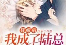 求替嫁后我成了陆总的心尖宠小说的全文免费阅读链接-美文小说