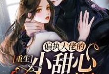 重生:偏执大佬的小甜心又娇又飒这本小说完结了吗?免费查看最新章节-美文小说