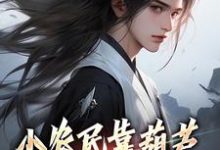 张二狗小说在线章节免费阅读（小农民靠葫芦又种田来又修仙无弹窗无删减）-美文小说