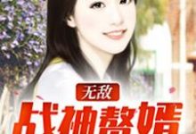 小说《无敌战神赘婿》章节免费阅读-美文小说