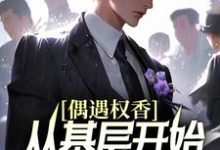 偶遇权香，从基层开始辉煌腾达梁健陆媛曹颖小说免费阅读-美文小说