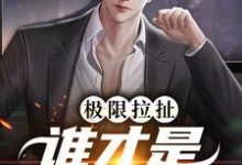 阮梨清沈灼的小说在哪里看?免费在线阅读极限拉扯:谁才是爱情赢家-美文小说