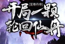 至尊丹帝:开局一颗轮回仙丹常盛缥缈小说在线章节免费阅读-美文小说