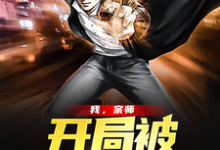 《我,宗师,开局被直播曝光》全集免费在线阅读(叶尘朵朵)-美文小说