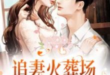 楼藏月闻延舟是哪本书的主角?追妻火葬场!狗男人被虐惨啦免费读-美文小说