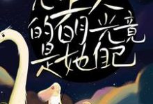 求推荐可以免费阅读甜宠!心上人的白月光竟是她自己小说的网站-美文小说