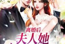 小说《离婚后，夫人她带崽出国了》在线章节阅读-美文小说