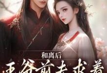 小说《和离后,王爷前夫求着我破镜重圆》在线章节阅读-美文小说