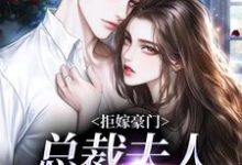 完整版的拒嫁豪门，总裁夫人带球跑小说在哪里可以免费读到？-美文小说