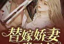 替嫁娇妻甜又软小说，替嫁娇妻甜又软在线阅读-美文小说