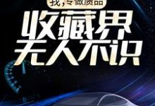 主角叫梅九的小说在哪阅读-美文小说