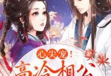 温馨李珏是哪本书的主角?心尖宠!高冷相公夜夜哄免费读-美文小说