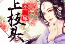 妃上枝头不二嫁小说,妃上枝头不二嫁章节在线阅读-美文小说