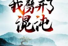 完结版《大劫后,我劈开了混沌》章节阅读-美文小说