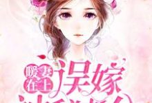 暖妻在上:误嫁神秘老公小说的免费电子版在哪里可以下载或阅读?-美文小说