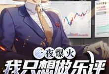 陆清是哪本书的主角?寻找一夜爆火!我只想做乐评人你们信吗免费阅读-美文小说