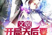 苏泽的故事在哪本书里?免费阅读文娱:开局天后要跟我结婚-美文小说