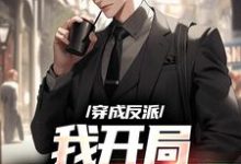 小说《穿成反派,我开局痛骂霸道女》章节阅读-美文小说