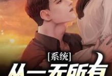 系统:从一无所有到亿万富翁陆风在线章节免费阅读-美文小说