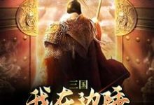 免费看三国:我在边陲,扩张家族地盘小说的网站有哪些?-美文小说