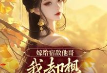 宁淼宴墨白小说叫什么(嫁给宿敌他哥,我却想爬宿敌的床免费阅读)-美文小说