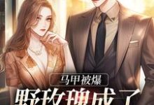 马甲被爆,野玫瑰成了大佬掌中娇小说全文哪里可以免费看?-美文小说