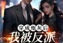 曹斌唐若雪为主角的小说叫什么?免费看穿成炮灰后,我被反派夫人拉黑了-美文小说