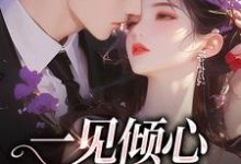 一见倾心,再见深情许愿莫昊霖,一见倾心,再见深情在线无弹窗阅读-美文小说