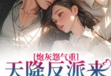 已完结小说《炮灰怨气重！天降反派来惩戒男主了》章节在线阅读-美文小说