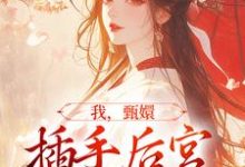 我,甄嬛,插手后宫治恶人小说完结版章节免费阅读-美文小说